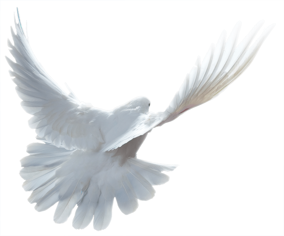 Bradford Funeral Service